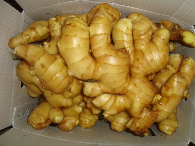 Conserva el jengibre fresco