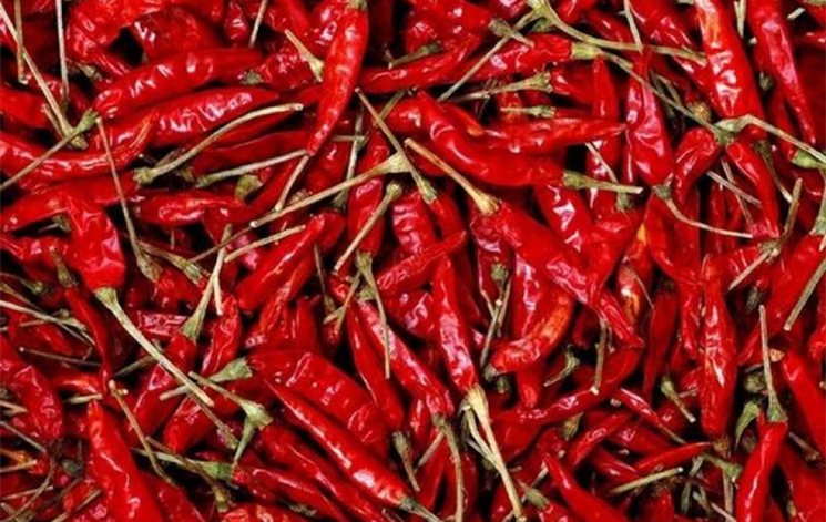 Pimiento rojo