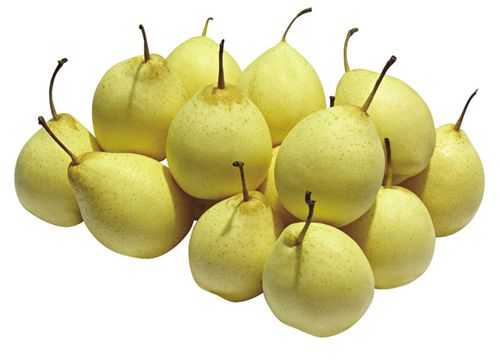 YA pear