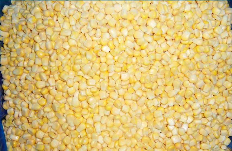 Frozen Corn kernels