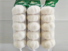Fresh garlic 5P