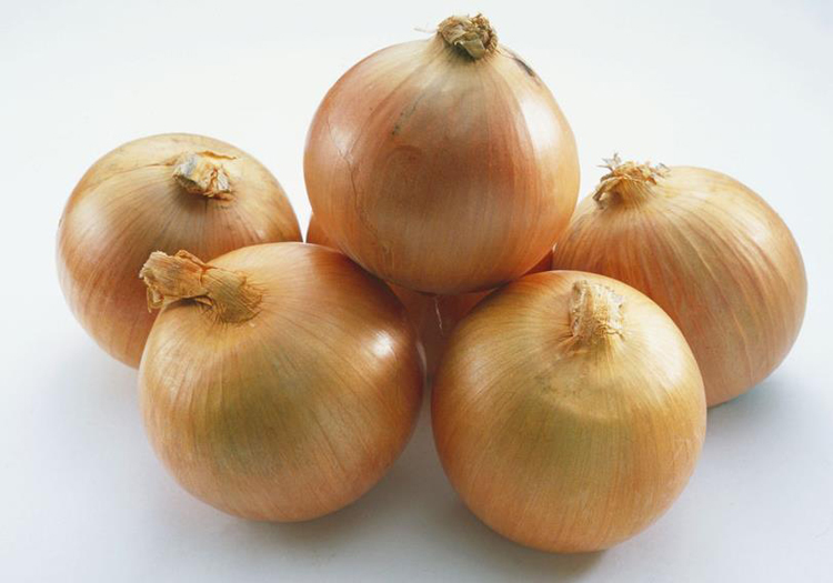 Fresh Yellow onion