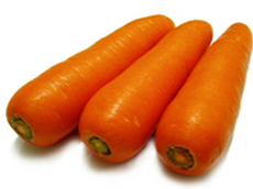 Fresh Carrot
