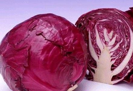Fresh Cabbage