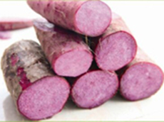 Purple Yam
